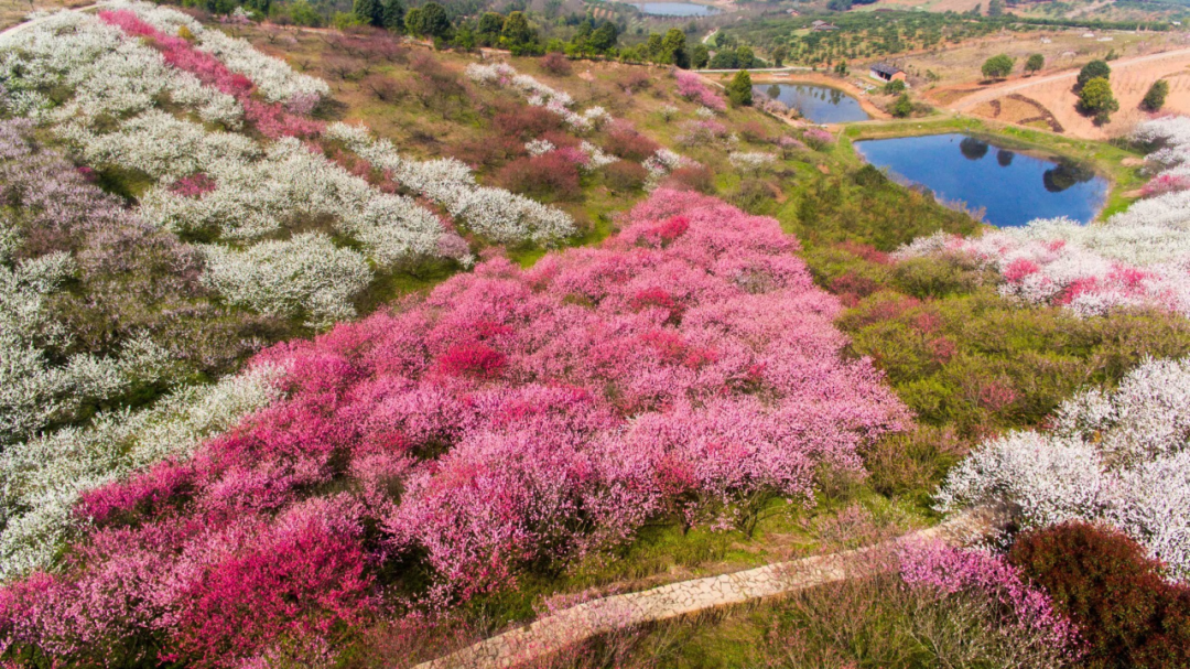 640 (3).png 640 (3).png